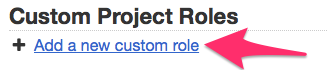 New custom role