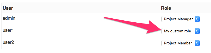 Custom project role